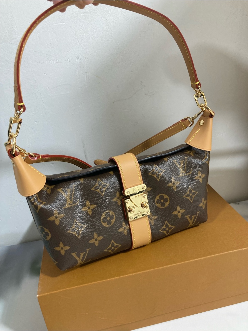 Louis Vuitton Monogram Canvas Shoulder Bag in Brown with Vachetta Trim